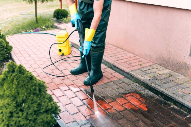 Best Roof Washing  in Rangely, CO